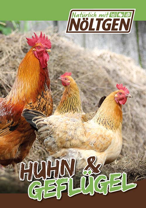 Huhn-und-Gefluegel