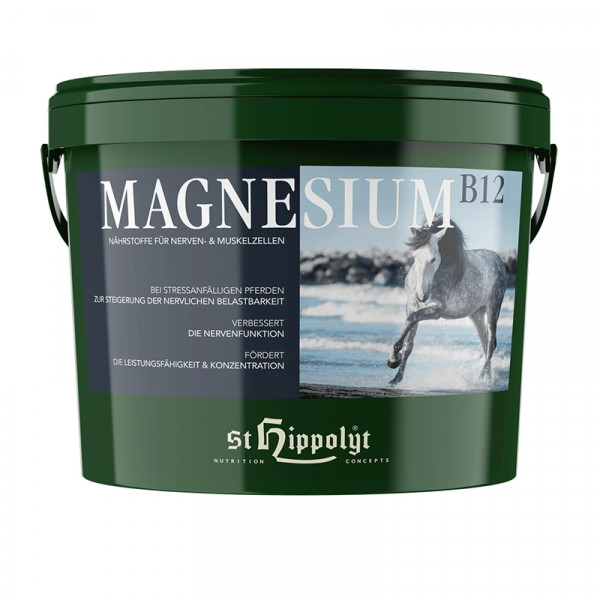 St. Hippolyt Magnesium B12 25kg - Nährstoffe für Nerven- und Muskelzellen