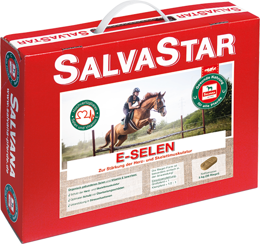 Salvana SalvaStar E/Selen 5kg - Ergänzungsfutter zur Stabilisierung des Zellstoffwechsel