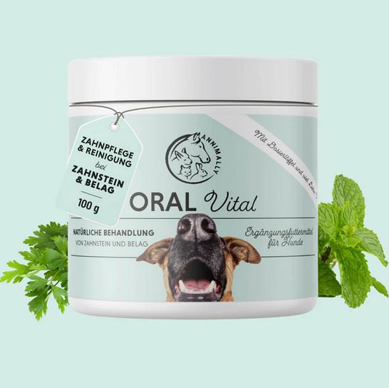 Annimally Oral Vital für Hunde 100g